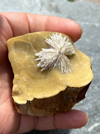 Baryte Flower on Septarian from Crystals from the UK & Ireland