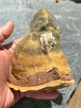 Baryte Flower on Septarian from Crystals from the UK & Ireland