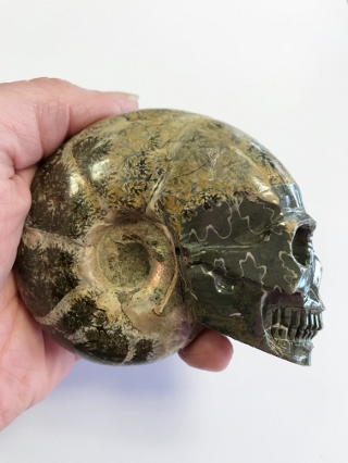Ammonite Crystal Skull from Crystal Skulls