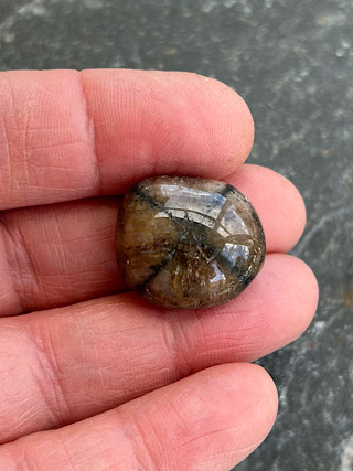 Chiastolite Tumble from Tumbled Stones